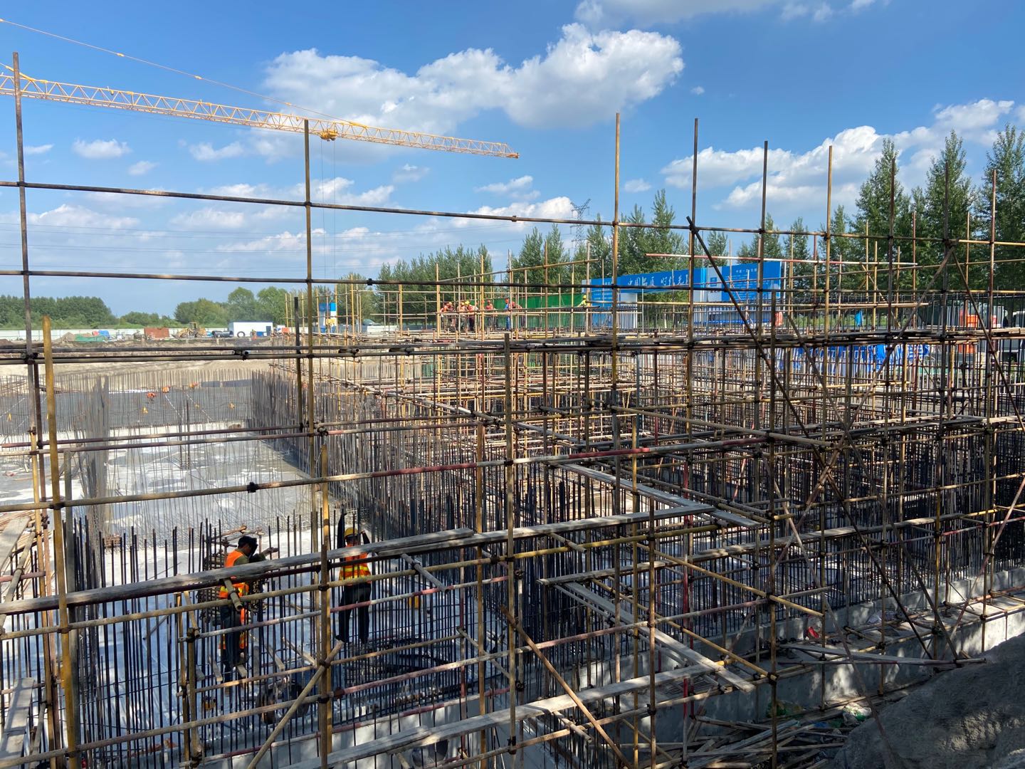 1656580919642120.jpg hs2v.jpg